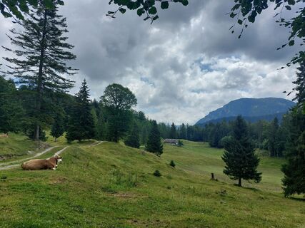 Foto von Hans Wimmer entlang der Tour