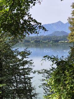 Foto von Arnold Simbürger entlang der Tour
