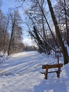 Foto de Katona Ferk Mariann a lo largo del recorrido