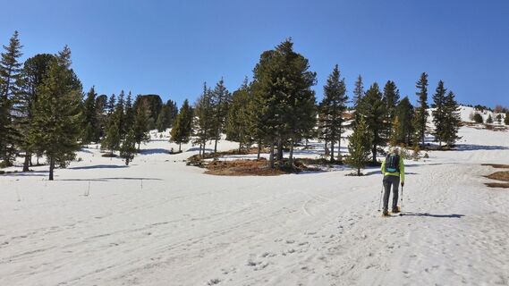 Nach dem Mühlbacher Sattel beginnt der steilere Aufstieg