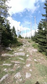 Photo de rumimi le long du parcours