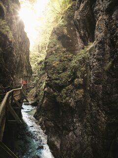 Wilder Gamsbach in der Nothklamm in Gams bei Hieflau