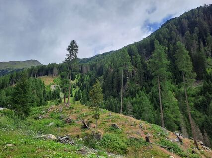 Fotografia z Wanderbursche66 na trase
