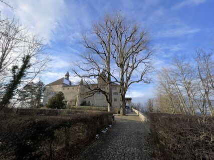 Photo de GabrielSR76 le long du parcours