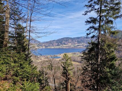 Foto de Daniel Fasching a lo largo del recorrido