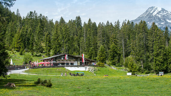 Blick auf die Wildmoosalm