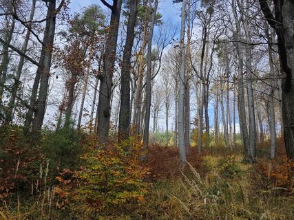 Foto de Sabine a lo largo del recorrido