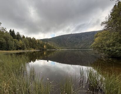 Photo de Natur_erleben_dg le long du parcours