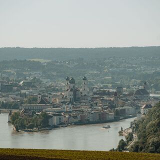 Panoramablick auf Passau, Blaas Freinberg