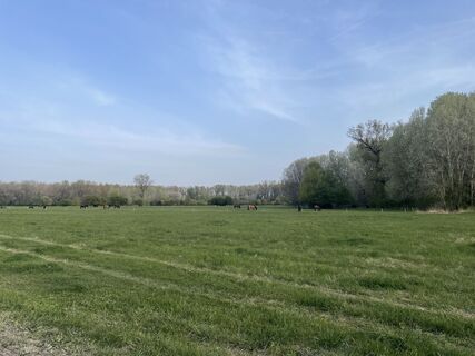 Foto von Bacskai János entlang der Tour