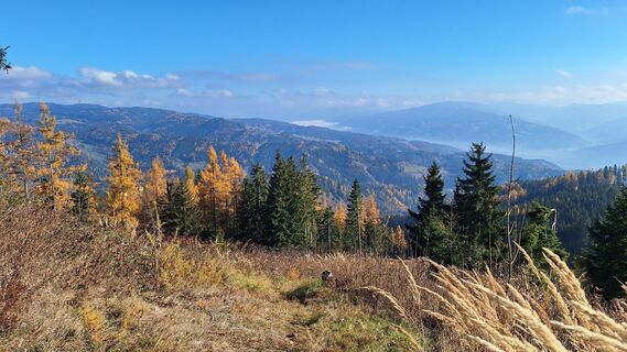 Foto von Susi Puhl entlang der Tour