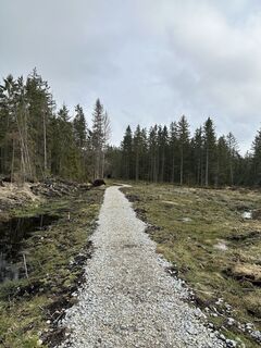 Fotografia z Babs Holz na trase