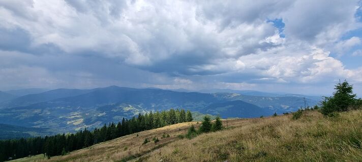 Fotografia z Helmut Neuhold na trase