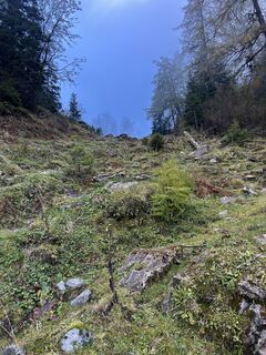 Fotografija s spletne strani Carola Krems na poti