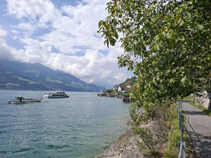 Photo de Michael Putz le long du parcours