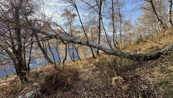 Fotografia z peter_oe na trase