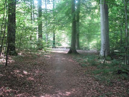 Firstweg