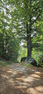 Foto van Andreas Henning langs de tour