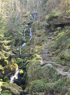 Photo de Michel Kennel le long du parcours