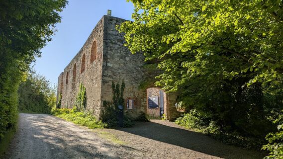 Fotografie de la Jele Hannes de-a lungul turului