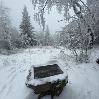 Foto från Steffen Kiesel under resans gång