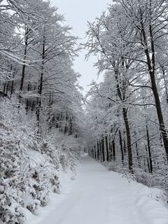 Zdjęcie z Alessandro Motta wzdłuż trasy