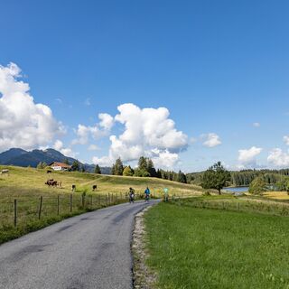 Alpe Kögelhof und Kögelweiher