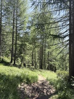 Foto von Hopps entlang der Tour