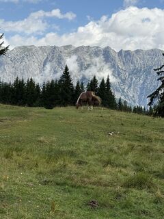 Fotografie z Garnweidner na trase