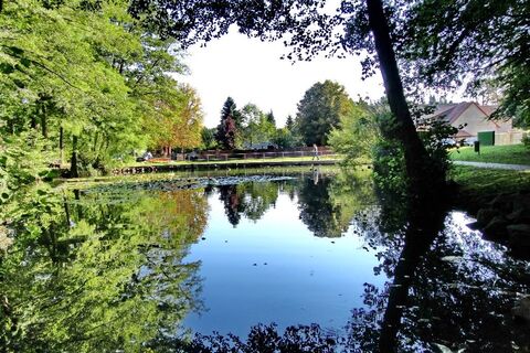 Schürer Weiher
