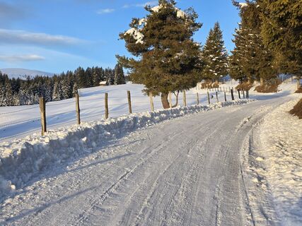 Foto de Andreas a lo largo del recorrido