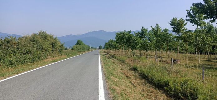 Aussichten auf Sakana von Bakaiku aus