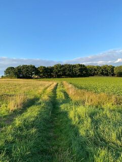 Rundweg um Sipperhausen