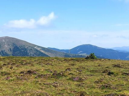 Photo de Melanie Krienzer le long du parcours