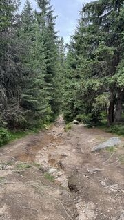 Fotografija s spletne strani Grzybek na poti