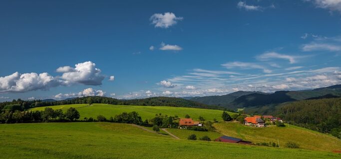 Weideland mit Panoramablick