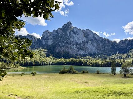 Zdjęcie z Natur_erleben_dg wzdłuż trasy