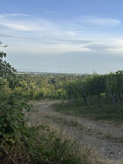 Foto de Cyrill Bischof a lo largo del recorrido