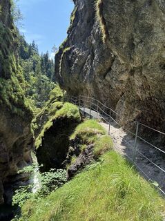 Foto von Ingrid Sieder-österreicher entlang der Tour
