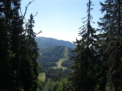 Aflenzer Staritzen