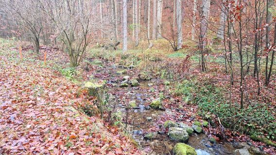 Фото с сайта EP87 во время экскурсии