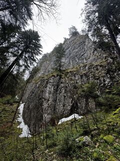 Fotografija s spletne strani Veselina Petrova na poti