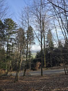 Foto von Michel Kennel entlang der Tour