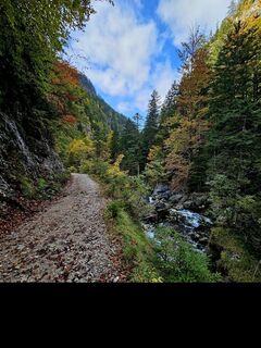 Photo de Michael M. le long du parcours