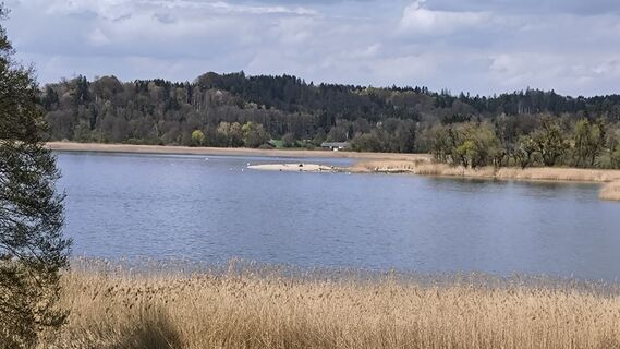 Fotografia z Adi Lechner na trase