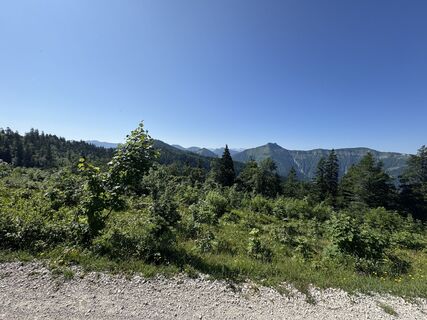 Fotografija s spletne strani Birgit Pinwinkler-Andorfer na poti