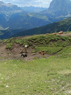 Photo de Adam Akwen le long du parcours