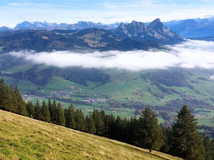 Foto da Jens Brunner lungo il tour