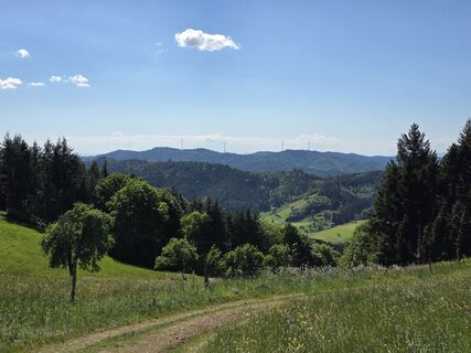 Foto da Noreen (NoKe) lungo il tour