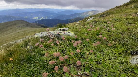 Foto från Aga M under resans gång